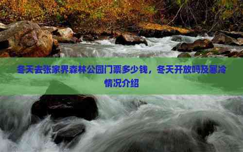 張家界森林公園冬季旅游指南 門票價格、開放情況及寒冷狀況全解析
