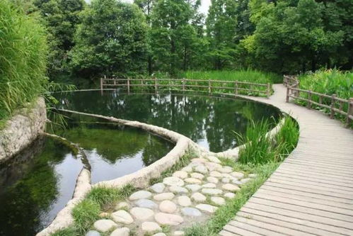 這個龐大的活水公園，竟然是一個“凈物細無聲”的污水廠