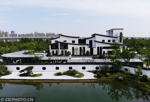 凈水廠變身水美公園，杭州驚現江南水墨畫卷