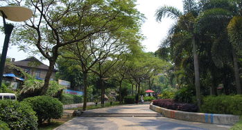 廈門(mén)金榜公園保姆級(jí)攻略 門(mén)票、地址與深度游覽指南