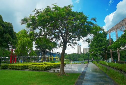廣東中山 一座由舊廠房蝶變的獲獎公園，如何用創意點亮城市記憶？